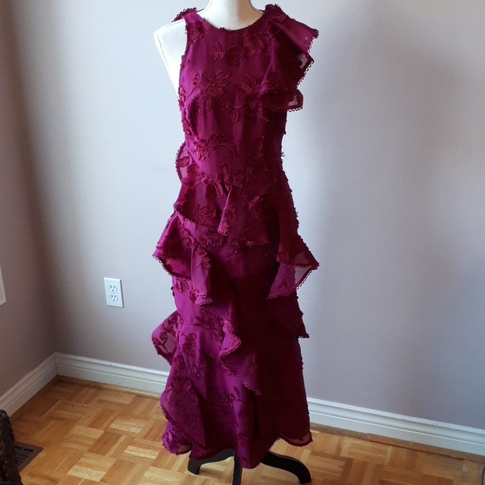 Keepsake raspberry dress - Picture 2 of 5